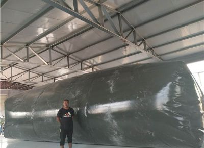 点击查看详细信息<br>标题：油囊 阅读次数：3216