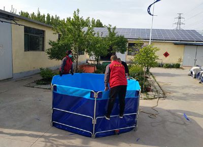 点击查看详细信息<br>标题：支架水池 阅读次数：3193